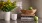 a kitchen counter with a bowl of fruit and a vase of flowers